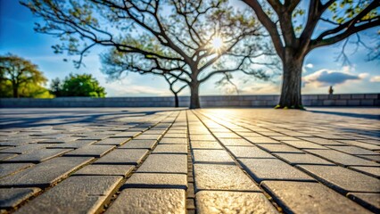 Sunlit Pathway Through a Tranquil Park Setting with Majestic Trees
