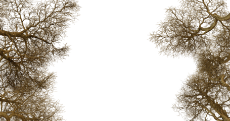 Golden fractal art, abstract background, digital illustration, space, cosmic dust, dark, design element