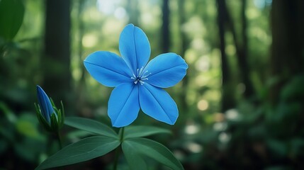 Obraz premium Vibrant Blue Wildflower Blooms Softly Lit Forest. AI Generated