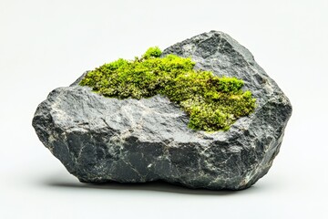 A dark grey rock, speckled with lighter grey, is adorned with vibrant green moss.