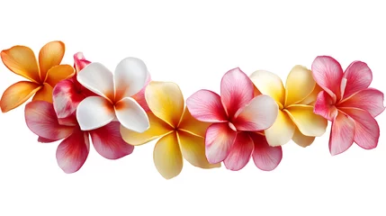 Selbstklebende Fototapeten Vibrant Plumeria Blossom Arrangement: A Tropical Floral Delight © Andsx