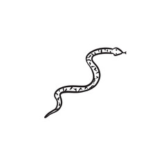 A simple line drawn snake, sketched vector. Serpent, slither. 