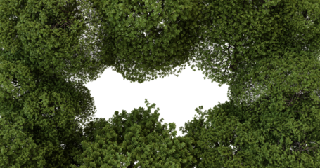 Aerial view of a dark forest clearing, possibly a sinkhole, surrounded by lush green trees, used for environmental or geological studies