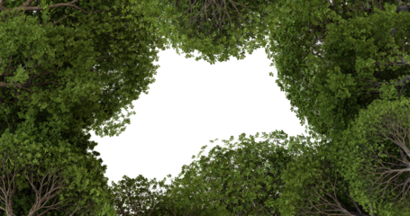 Forest Canopy Opening, Revealing Black Space, Aerial View, Nature Background, Design Template