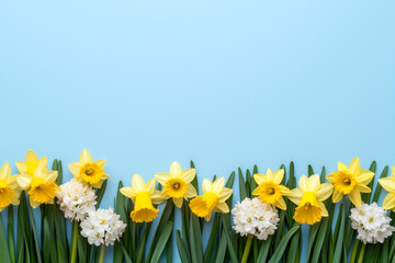 Fototapeta premium Vibrant arrangement of spring flowers including daffodils, hyacinths, and tulips on a textured blue background, perfect for seasonal designs, event invitations, or cheerful home decor