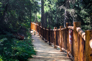 The scenery of Kanas Scenic Area in Altay, Xinjiang