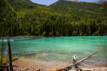 The scenery of Kanas Scenic Area in Altay, Xinjiang