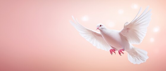 Obraz premium A serene white dove soars gracefully against a soft pink background, symbolizing peace, purity, and freedom.
