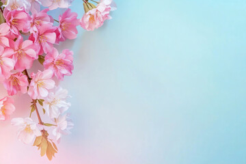 Fototapeta premium pink cherry blossom