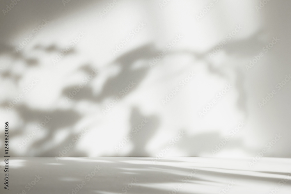 Aufkleber Abstract white color gradient studio background for product presentation. Empty room with shadows of window and flowers and plant leaves . 3d grey room with copy space. Blurred backdrop.