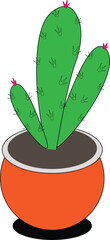 cactus in a pot