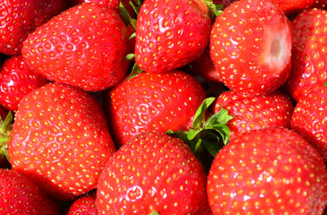 Juicy Red Strawberries macro strawberry background