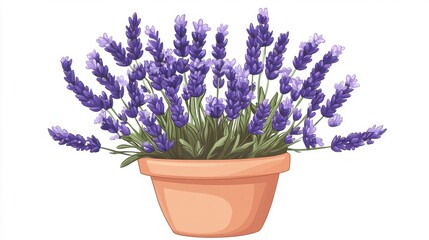Obraz premium Lavender Plant in Clay Pot with Bright Purple Blooms and Green Leaves