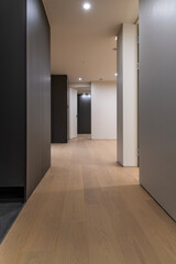 isle and corridor in the apartment