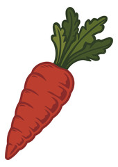 color illustration of carrot in hand drawn style without background