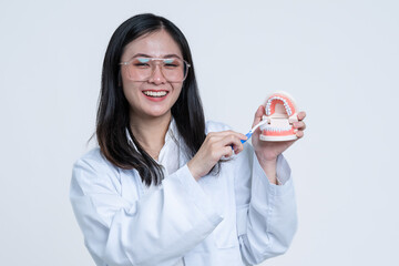 Dentists are demonstrating how to brush and care for teeth properly.