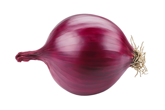 One onion isolated on a white background - Powered by Adobe