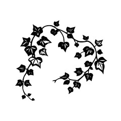 Elegant Black and White Ivy Vine: Botanical Illustration, Nature Design, Floral Pattern, Graphic Art, Plant Silhouette, Vector Leaves, Swirling Branches, Perfect for Decoration
