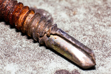 extreme close-up of a rusty screw