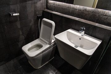 commode and wash basin in the bathroom