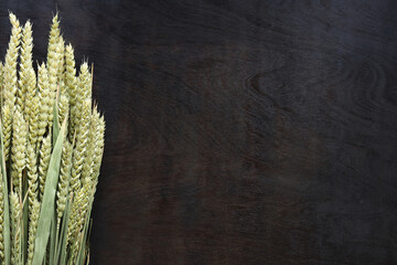 Wheat ears on dark wooden background, top view. Dark brown wooden background with ripening wheat ears. Harvest concept. Copy space. Free space for text. Cereals