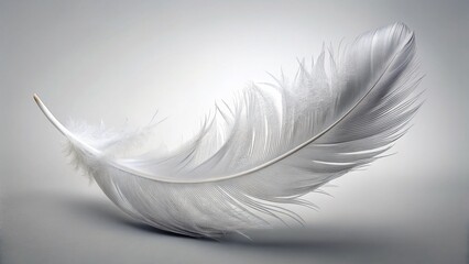 Obraz premium Delicate White Feather Floating against a Pristine White Background