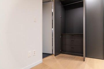 cabinet and closet in the bedroom