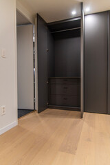 cabinet and closet in the bedroom