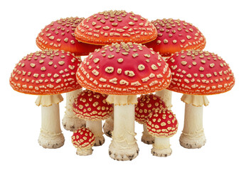 Obraz premium Group of red fly agaric mushrooms with white dots, isolated on white background