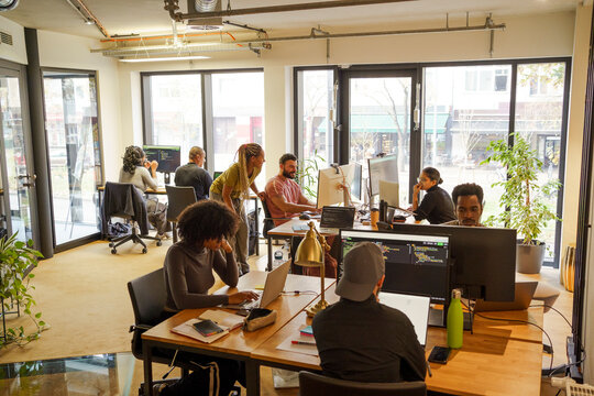 Multiracial male and female computer programmers working in tech start hub