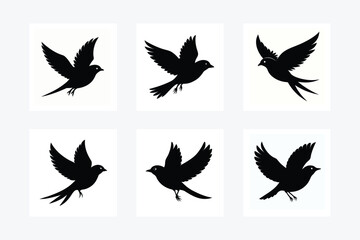 Obraz premium set of silhouettes of birds