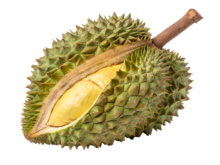 A spiky, greenish-brown durian with a rough, textured skin and a fresh, exotic appearance. AI Generative