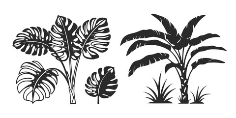 Hand-Drawn Palm Leaf Illustration – Tropical Jungle Monstera & Banana Leaves