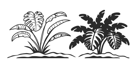 Hand-Drawn Palm Leaf Illustration – Tropical Jungle Monstera & Banana Leaves