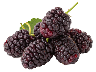 A cluster of dark purple mulberries with a glossy, matte surface and a fresh, sweet appearance. AI Generative