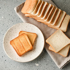 Toasted Sandwich Maker with Buttered Bread Perfect Breakfast or Snack Delight