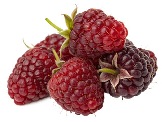A cluster of dark red loganberries with a glossy, bumpy surface and a fresh, tangy appearance. AI Generative