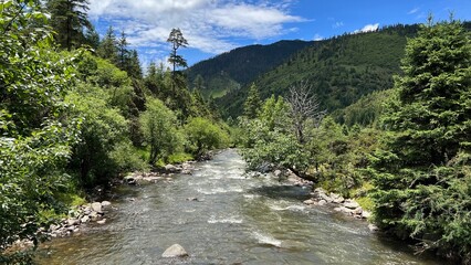 Incredible nature in the parks surrounding the Shangri-La area in Yunnan province of China - clear sky, clear water, green trees and grasslands © Traveller