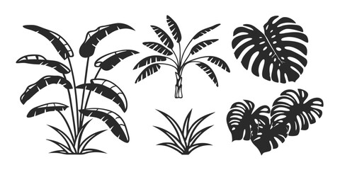 Hand-Drawn Palm Leaf Illustration – Tropical Jungle Monstera & Banana Leaves