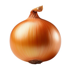 onion isolated on white background