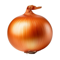 onion isolated on white background