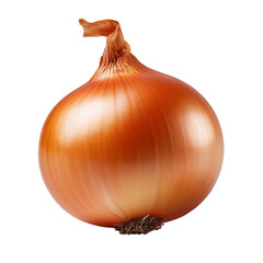onion isolated on white background