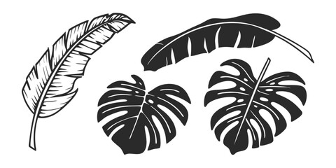 Hand-Drawn Palm Leaf Illustration – Tropical Jungle Monstera & Banana Leaves