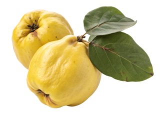 A golden-yellow quince with a smooth, matte skin and a fresh, fragrant appearance. AI Generative