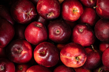 Close-up shot of a pile of fresh, vibrant red apples. Perfect for food blogs, healthy eating concepts, autumn themes, or agricultural marketing. Rich color and texture