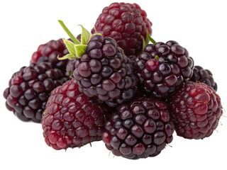 A handful of deep purple boysenberries with a glossy, bumpy surface and a fresh, juicy appearance. AI Generative