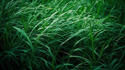 Artificial grass showcasing vibrant green blades arranged in neat even rows creating a fresh and natural look
