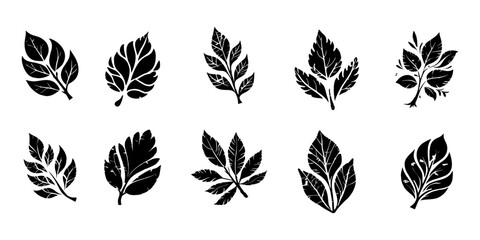 simple leaf vector icon