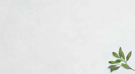 Green Sprig on Gray Textured Background Minimalist Nature Photography