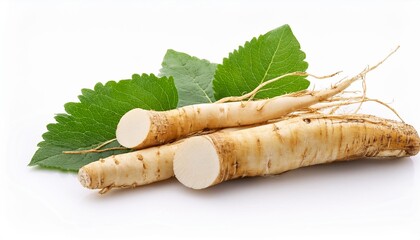horseradish root with leaf on white background